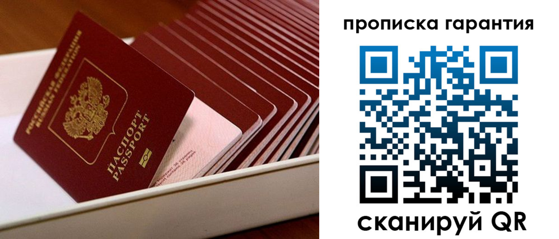 прописка поиск в Заозёрске